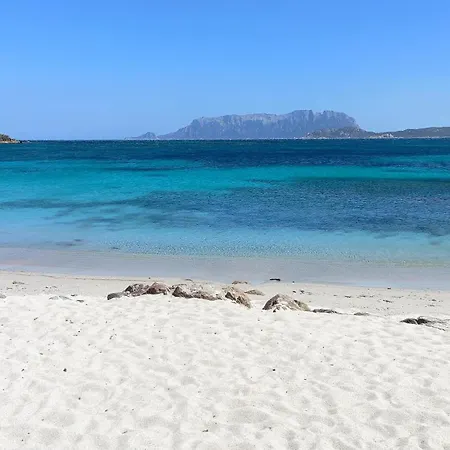 Apartament Terrazza Su Tavolara *